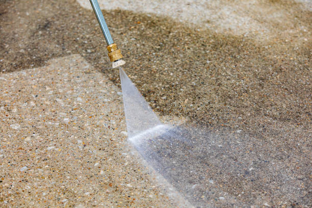 Best Dumpster Area Cleaning  in The Crossings, FL