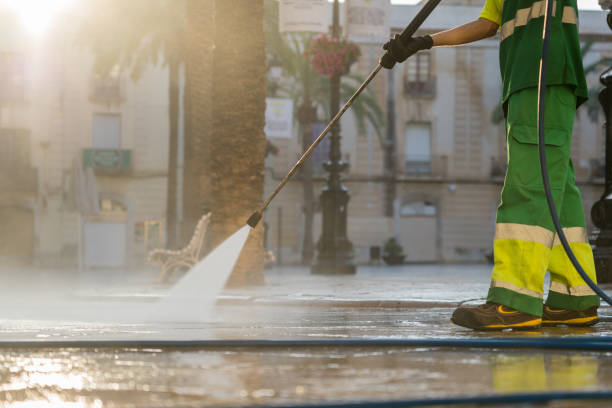 Best Roof Washing  in The Crossings, FL